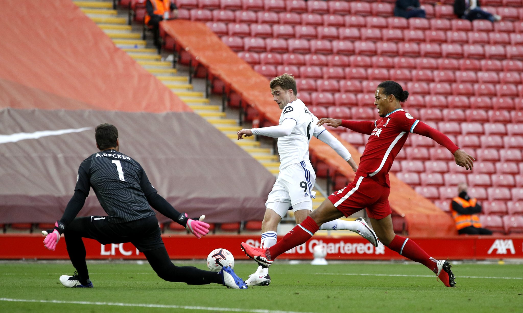 活力新星 活力新星